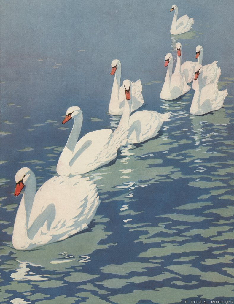 Detail of Illustration of Flock of Swans by Coles Phillips