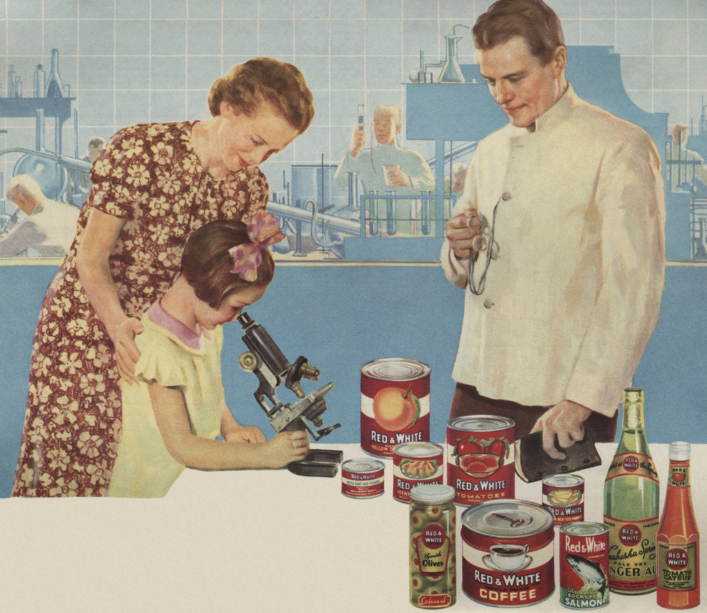 Detail of Illustration of Girl Looking Through Microscope by Douglass Crockwell