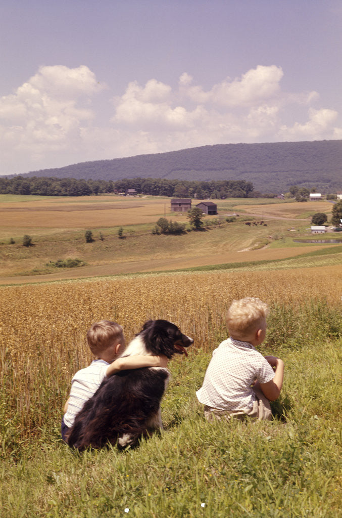 Detail of 1960s Back Of Two Boys With Black And White Dog Sitting Hillside Field Looking Down To Farm by Anonymous