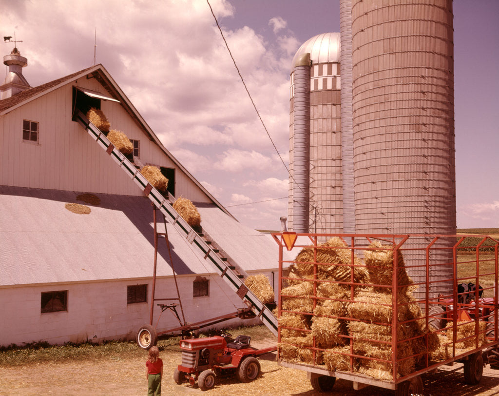 Detail of 1970s Girl Watching Hay Bales On Conveyor Belt Loading Into Barn By Farm Grain Silos by Corbis