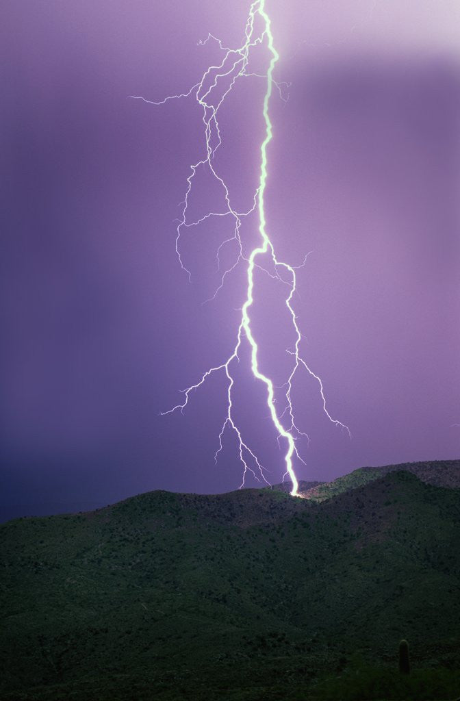 Detail of Lightning Strike near Tucson by Anonymous