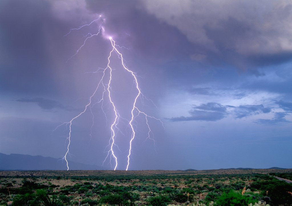 Detail of Lightning Strike near Tucson by Anonymous