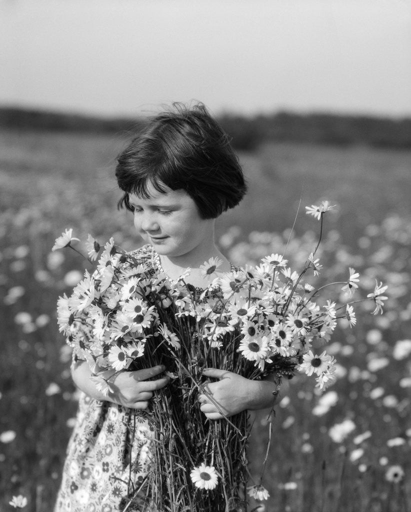 Detail of 1920s Girl In Meadow Holding Bunch Of Daisies by Corbis