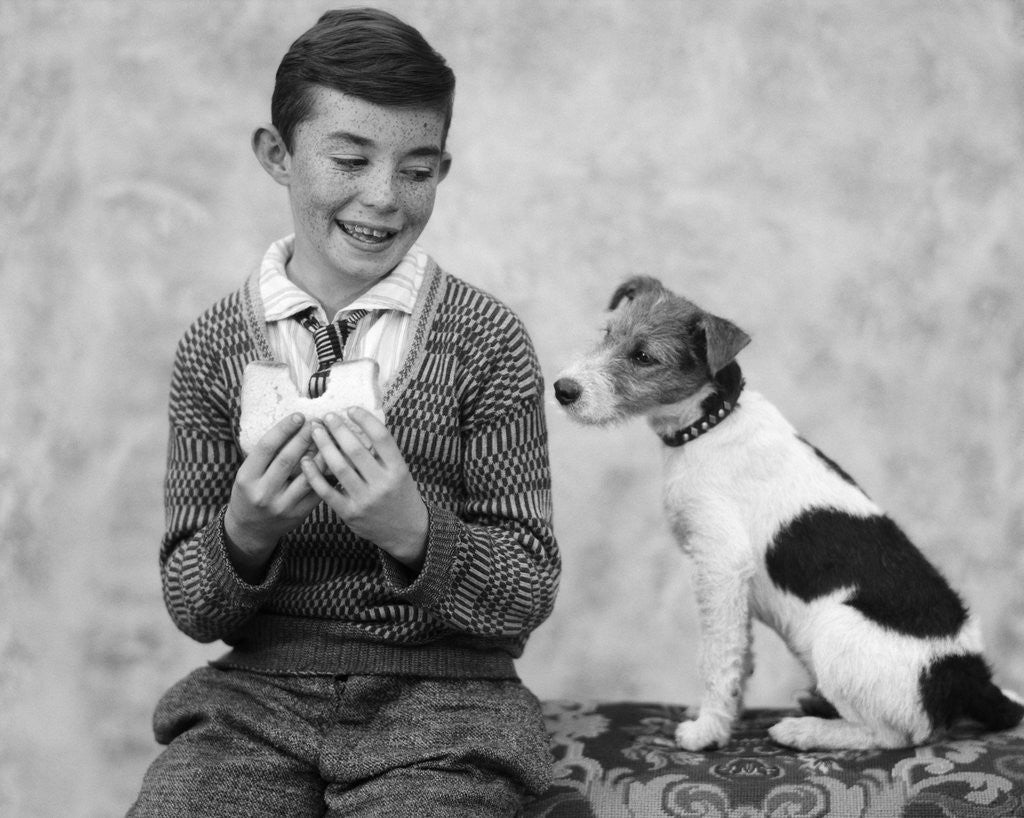 Detail of 1920s 1930s Boy Eating Sandwich As Dog Stares At Food by Corbis