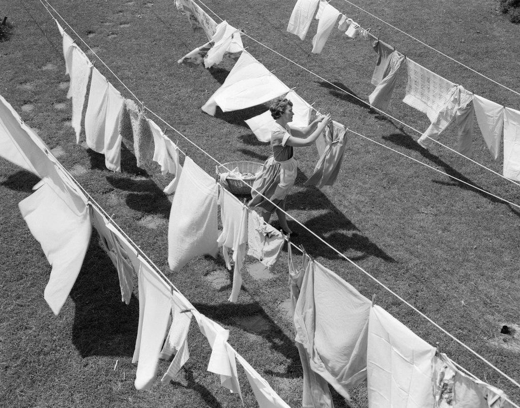 Detail of 1950s Woman Hanging Laundry Outdoors On Several Clotheslines by Anonymous