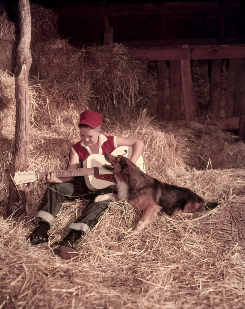 Detail of 1950s Boy Playing Guitar Collie Dog Sitting Hay Bales Inside Barn by Anonymous