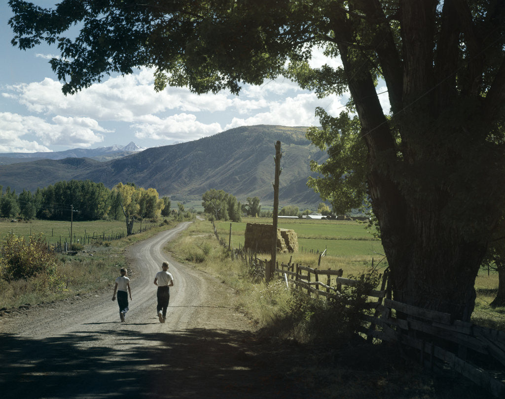 Detail of 1960s Two Boys Brothers Walking Together Down A Summertime Farm Country Road by Anonymous