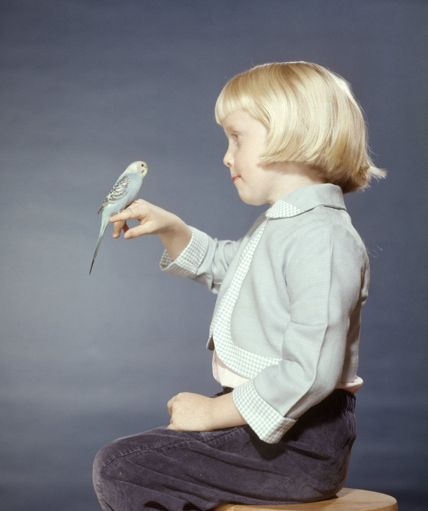 Detail of 1950s 1960s Girl With Pet Bird Parakeet On Her Finger by Anonymous