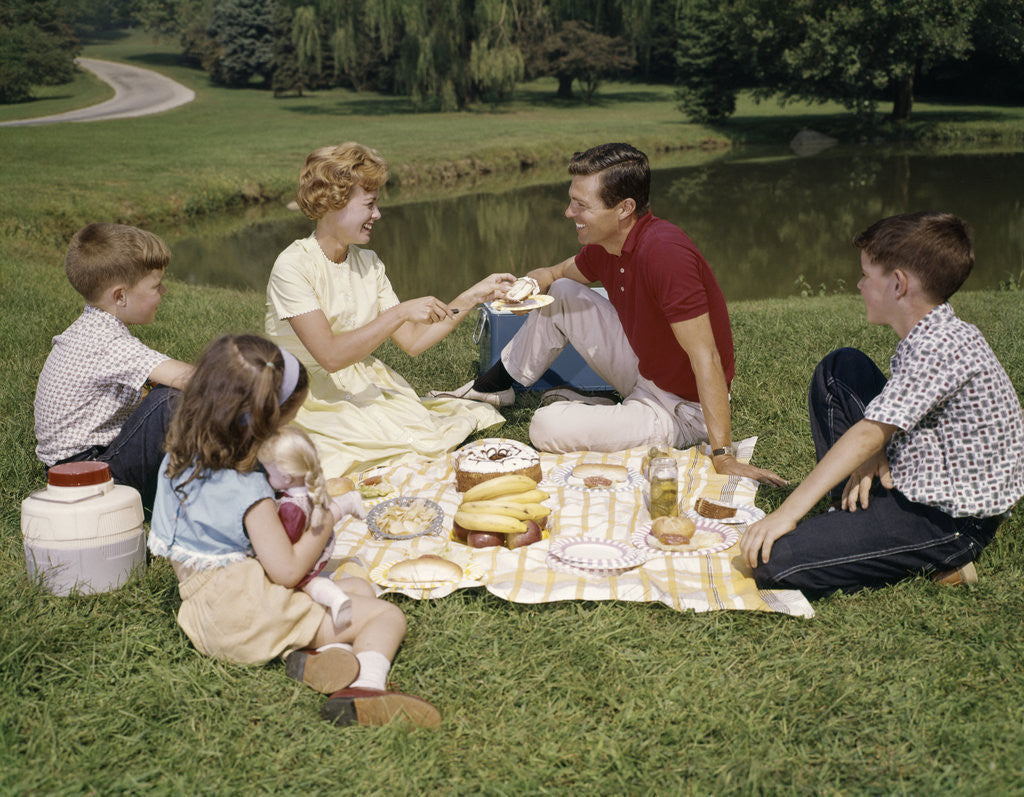 Detail of 1960s Family Mother Father Daughter And Two Sons Picnicking In Park Outdoor by Anonymous