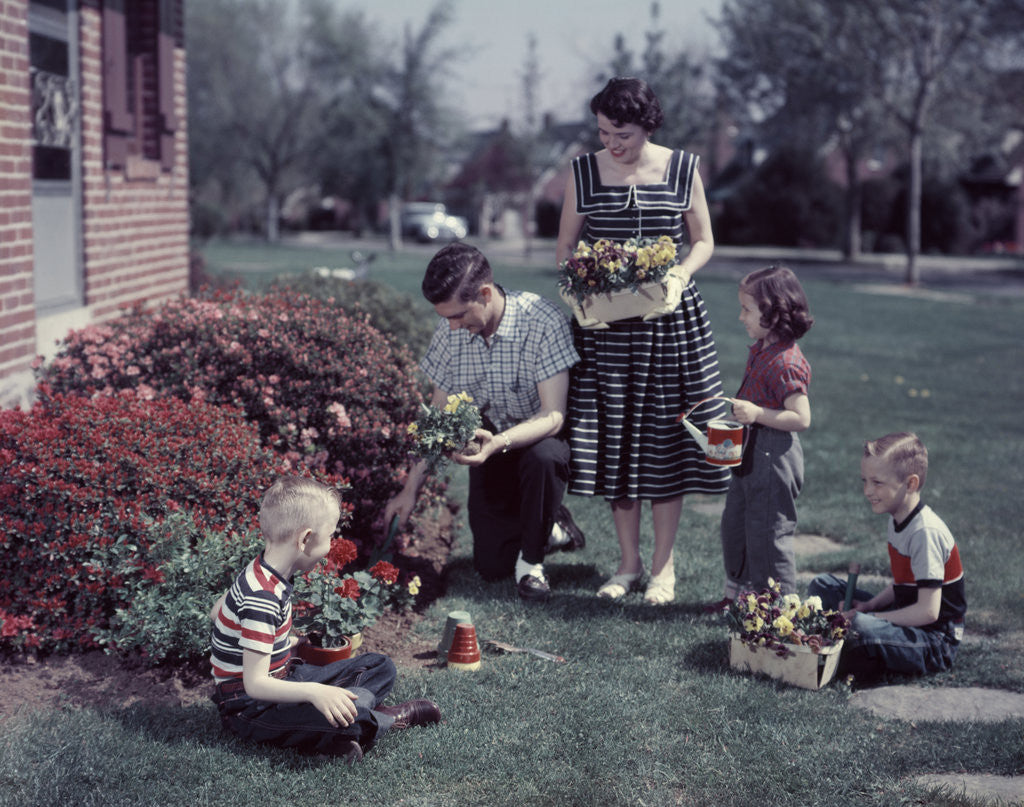 Detail of 1950s Suburban Family Gardening Together In The Springtime by Anonymous
