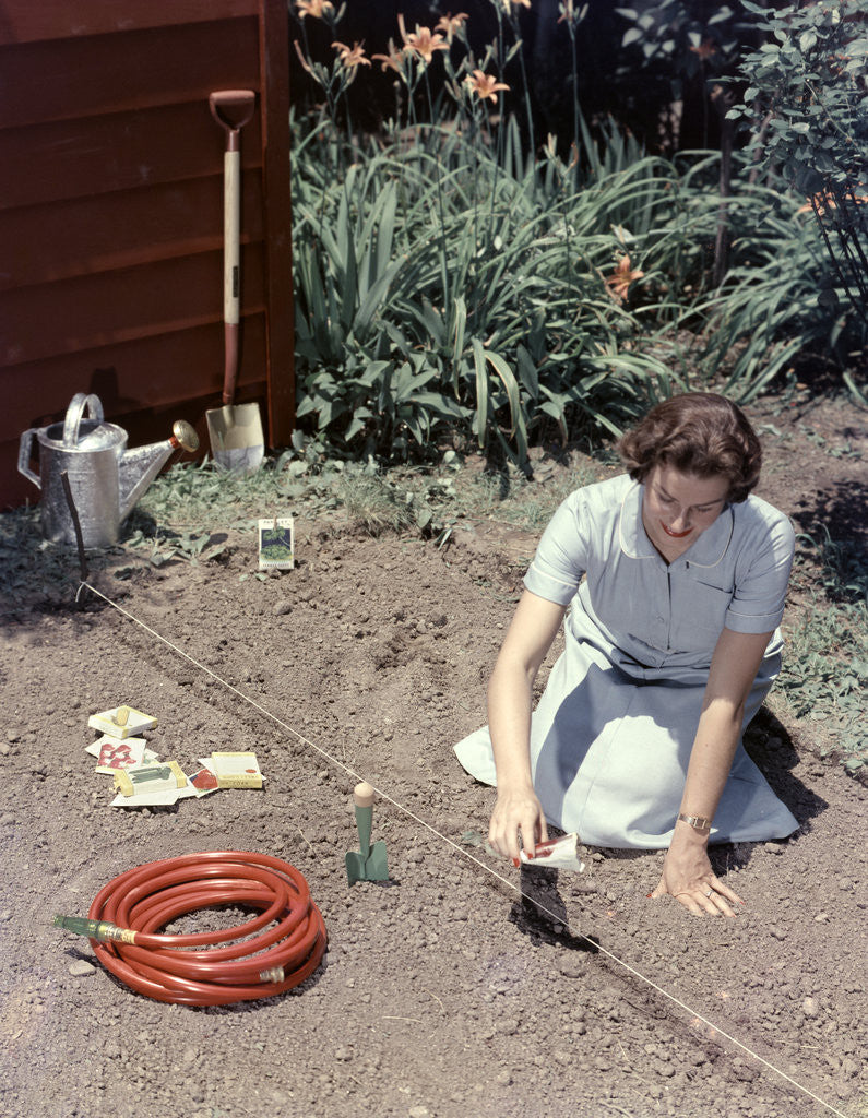 Detail of 1950s Woman Kneeling In Garden Planting Seeds In Soil by Anonymous