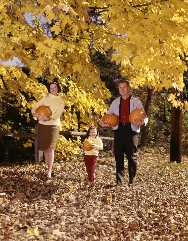 Detail of 1960s Family Trio Father Mother Daughter Walking In Autumn Woods Carrying Pumpkins by Anonymous