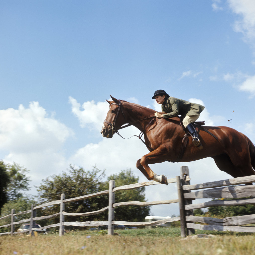 Detail of 1970s Woman Equestrian Rider Jumping Over Split Rail Fence During Steeplechase Horse Race by Anonymous