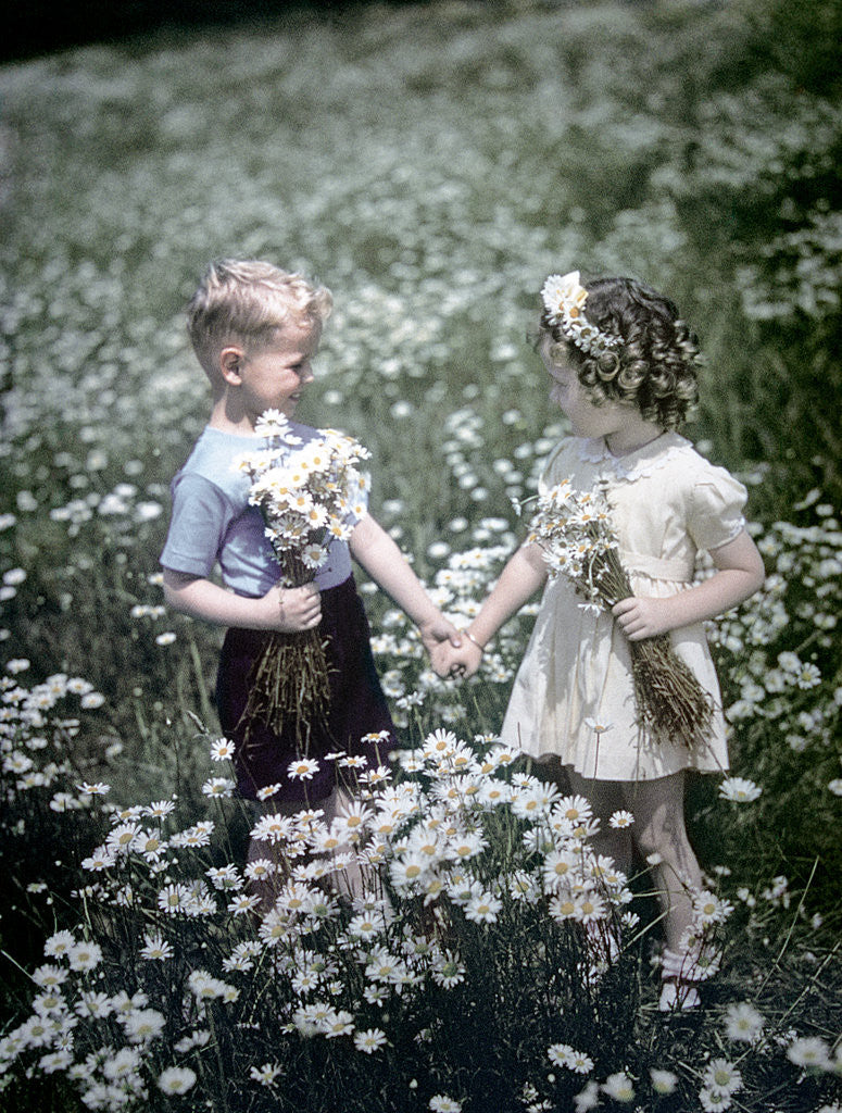 Detail of 1940s 1950s Boy Girl Picking Daisies In Field Of Flowers by Corbis