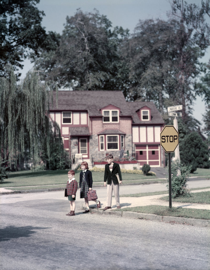 Detail of 1950s Kids Carry Book Bags Crossing Street By Yellow Stop Sign In Suburban Neighborhood by Corbis
