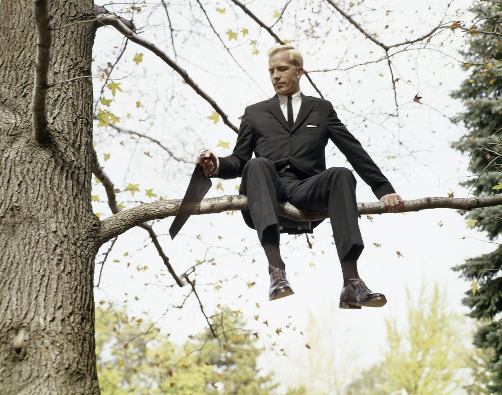 Detail of 1960s Man In Tree Sawing Off The Branch He Is Sitting On by Corbis