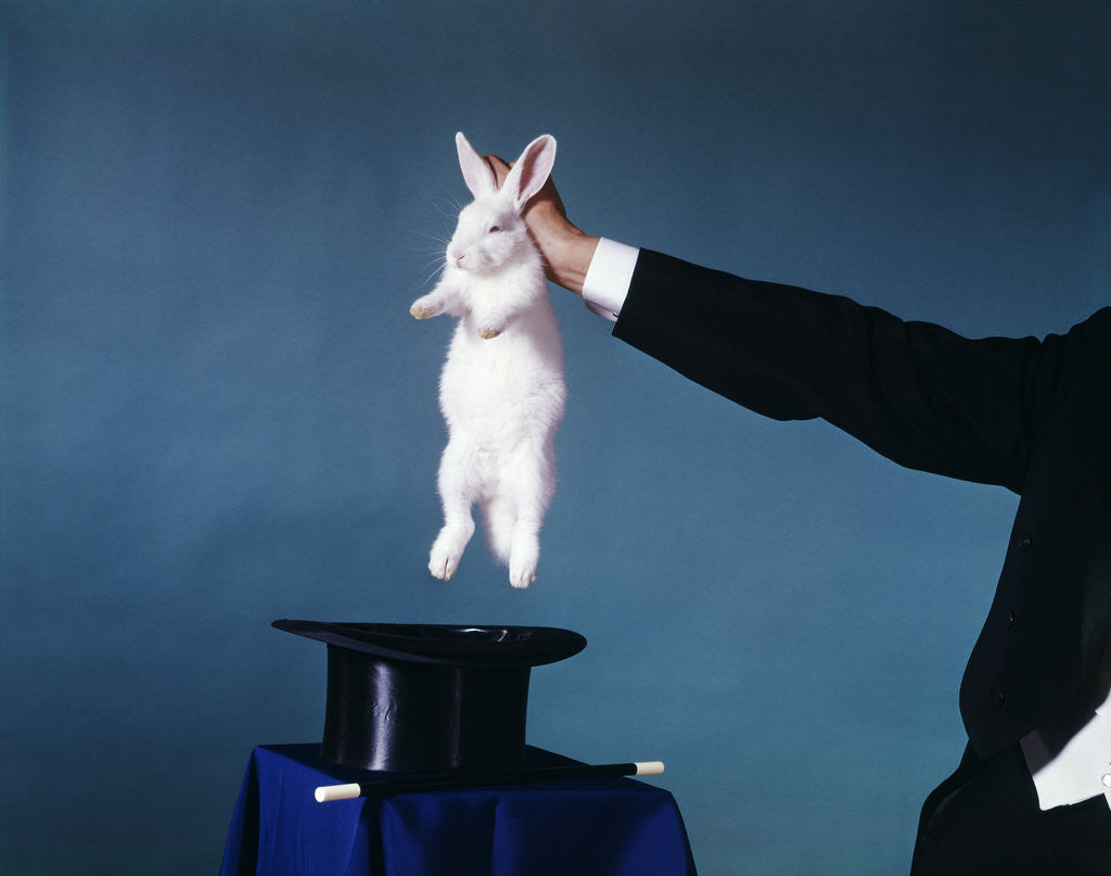 Detail of Hand Of Magician Pulling White Rabbit Out Of Black Silk Top Hat by Corbis