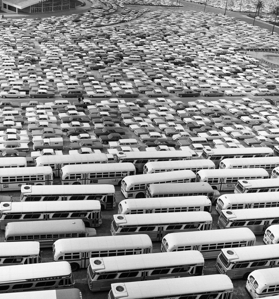 Detail of 1960s Aerial Of Crowded Stadium Parking Lot With Separate Sections For Buses and Cars by Corbis