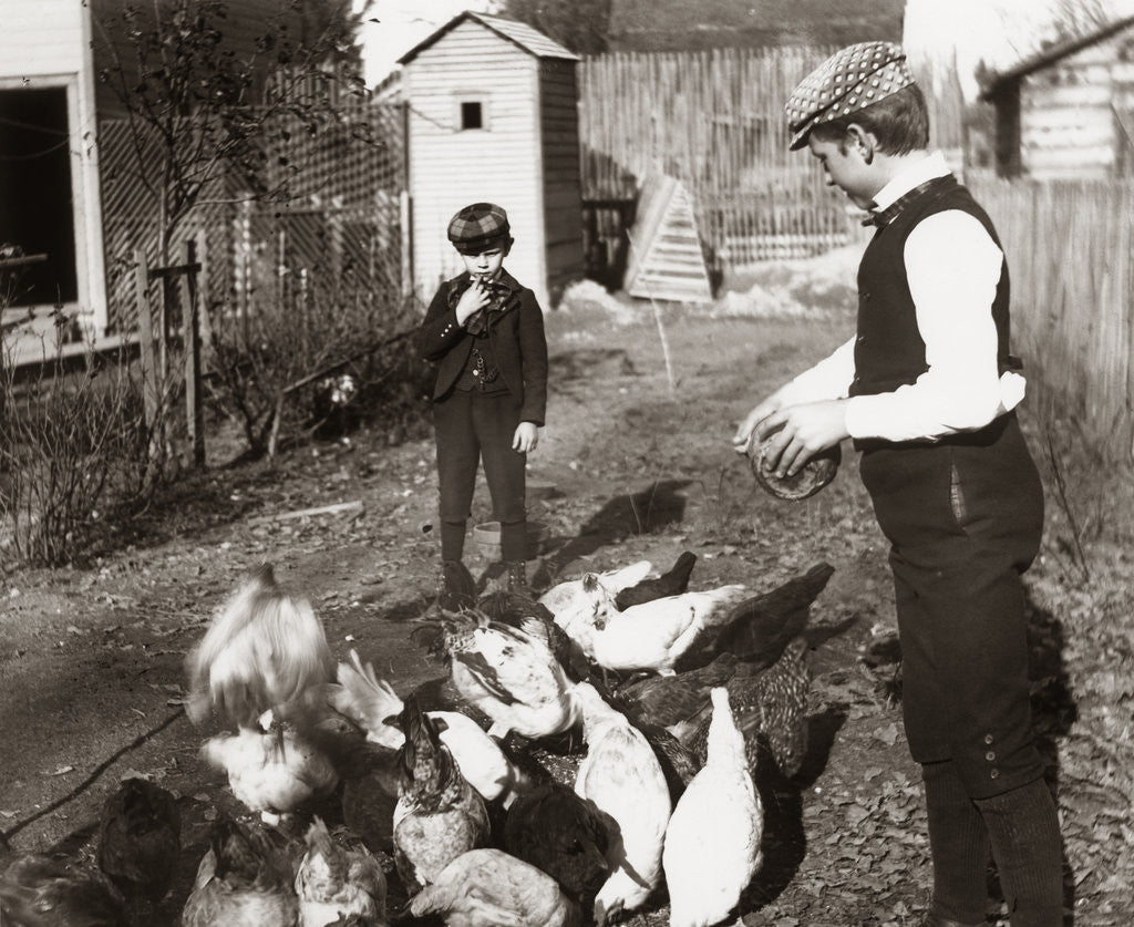 Detail of 1890s 1900 Two Boys Brothers In Backyard Doing Farm Chores Feeding Chickens by Anonymous