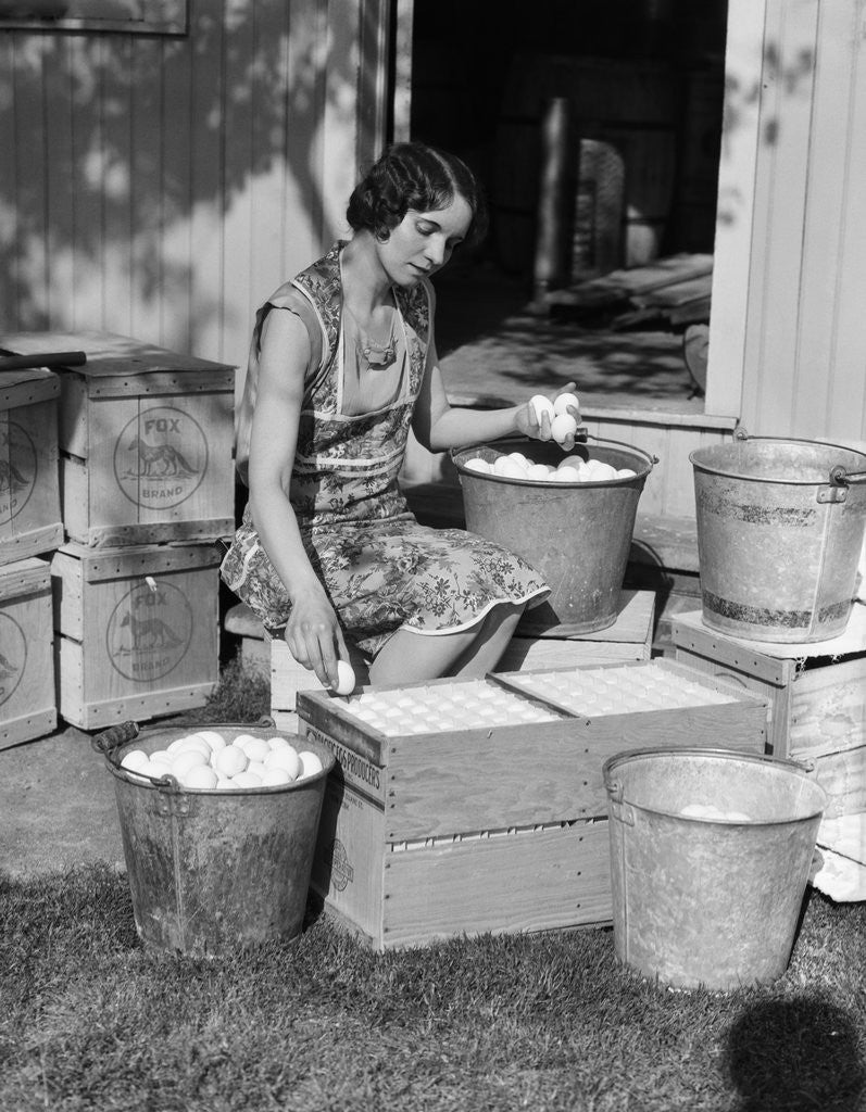 Detail of 1930s Woman Farm Wife Sitting Outside Of Hen House Doorway Putting Eggs From Pails Into Shipping Crates by Anonymous