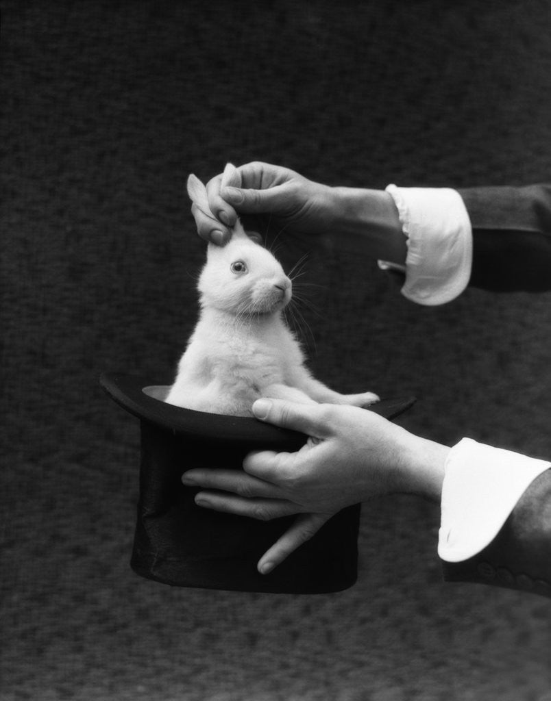Detail of 1930s Magician Hands Pulling Rabbit Out Of Top Hat by Anonymous