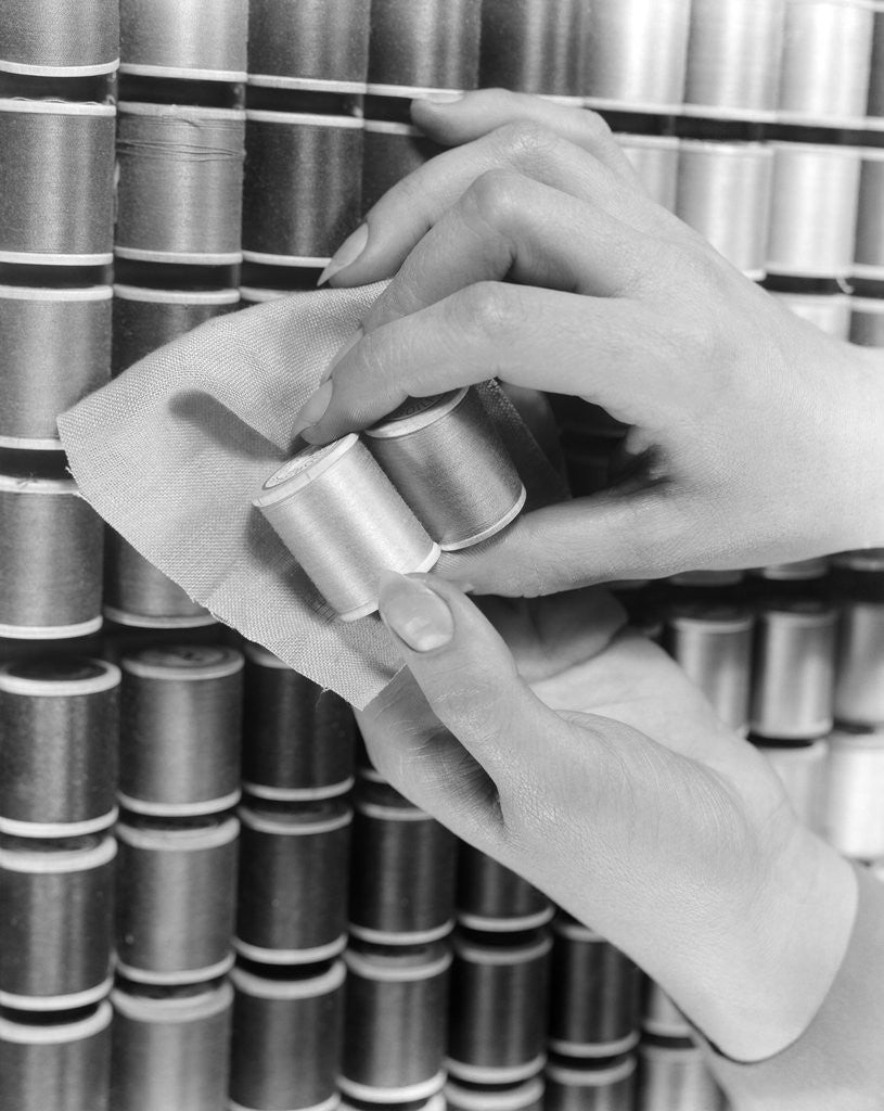 Detail of 1940s Hand Woman Matching Spool Of Thread To Swatch Of Material by Anonymous