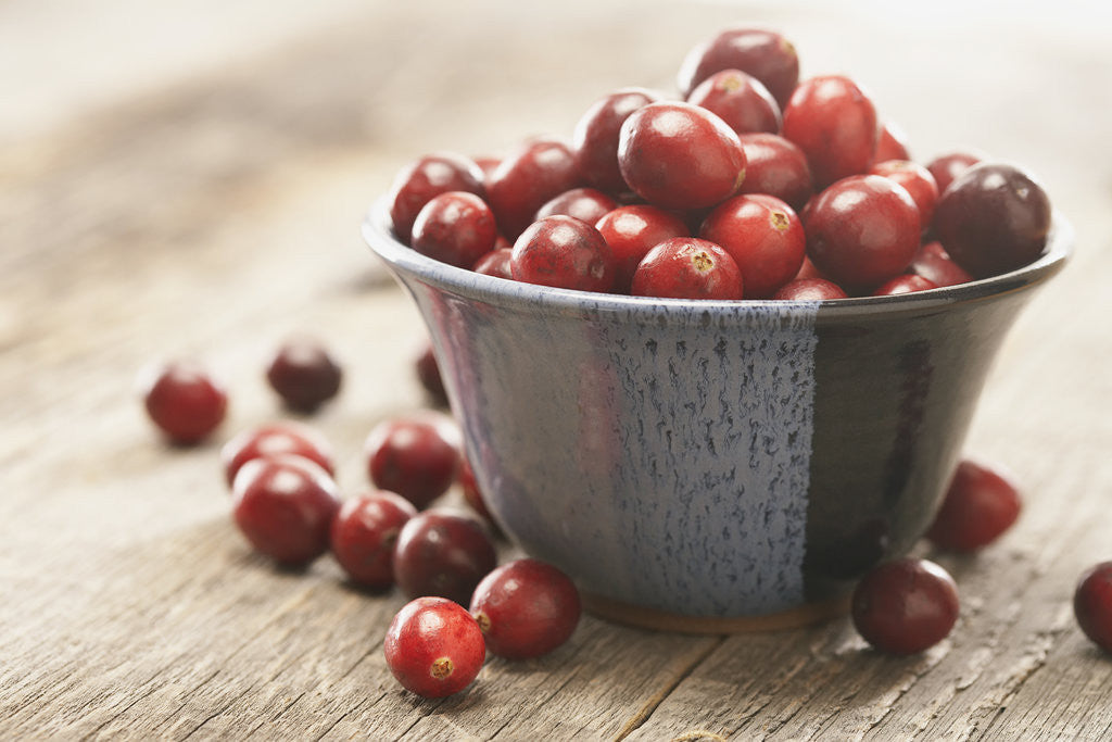 Detail of Bowl of cranberries by Corbis