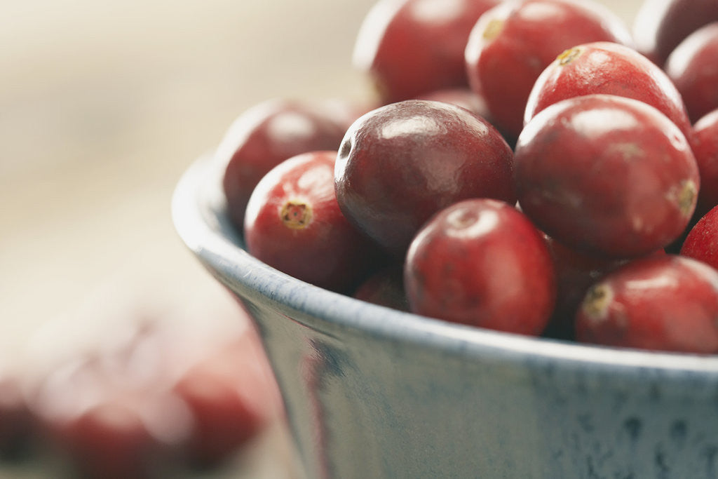 Detail of Cranberries in a bowl by Corbis