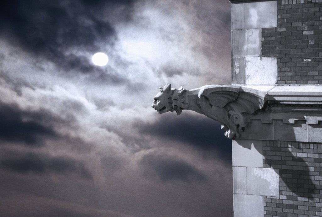 Detail of Gargoyle on Building at Night by Corbis