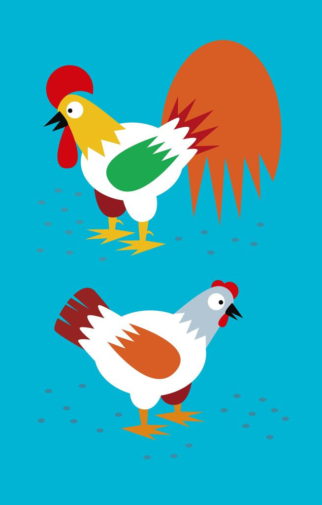 Detail of rooster and hen by Corbis