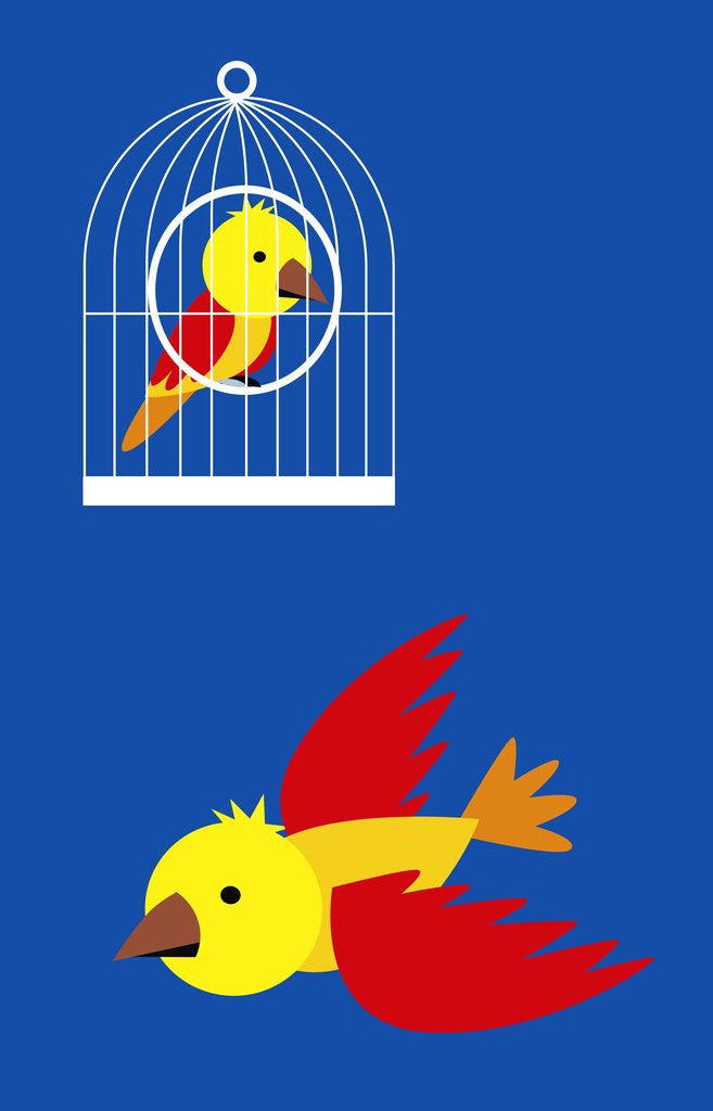 Detail of bird in cage, flying bird by Anonymous
