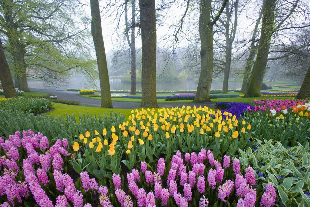Detail of Spring Flowers in Flower Garden by Anonymous