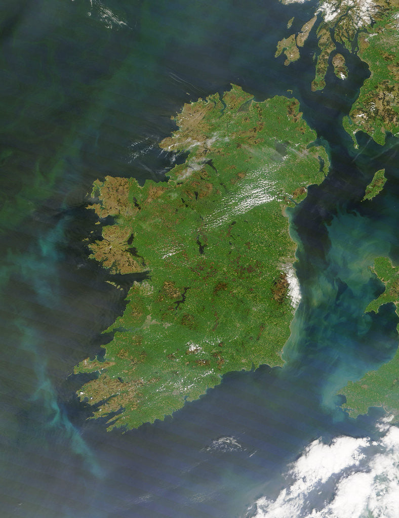 Detail of Island of Ireland by Anonymous
