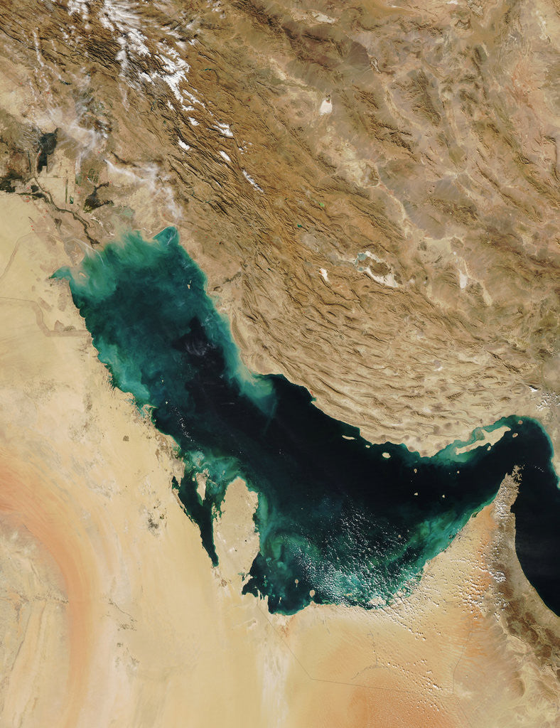 Detail of Persian Gulf by Anonymous