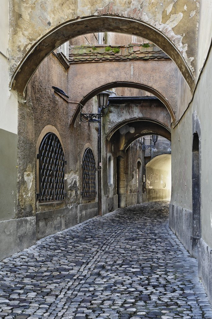 Detail of Cobblestone Streets in Ljubljana by Anonymous