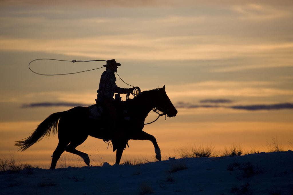 Detail of Silhouette of Cowboy in Wyoming by Anonymous