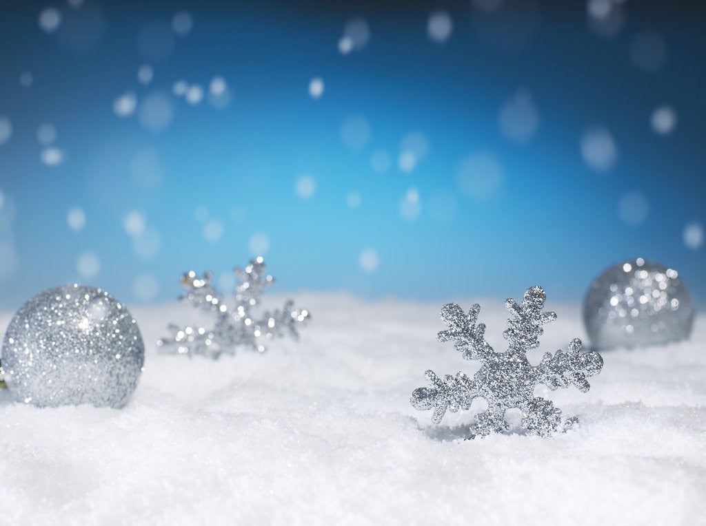 Detail of Christmas Decorations in Snow by Anonymous