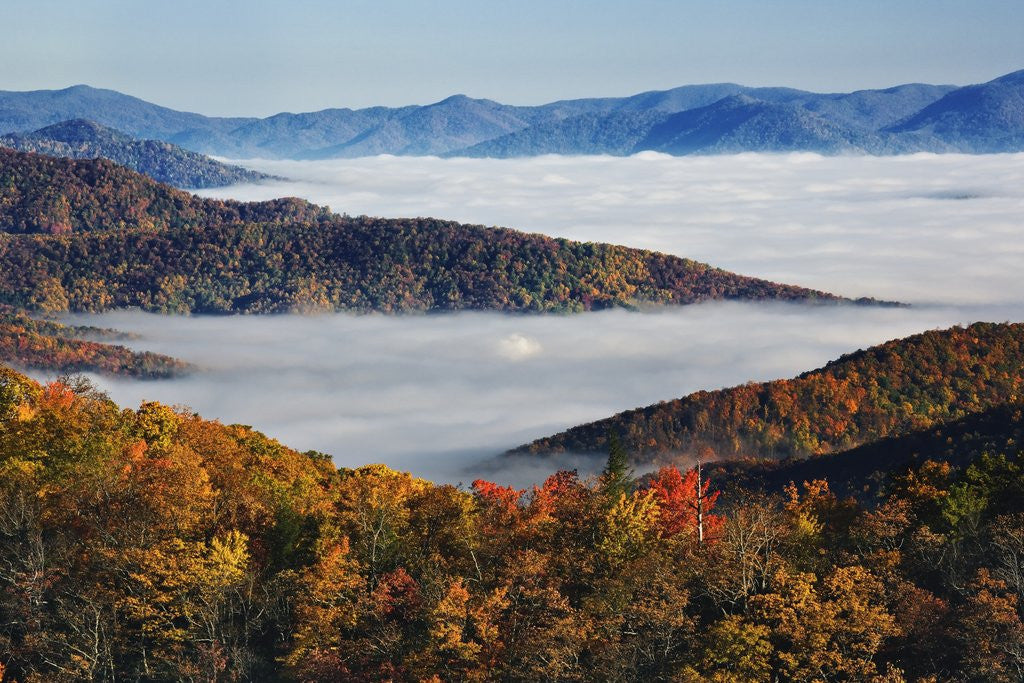 Detail of Fog Over Appalachian Mountains in Autumn by Anonymous