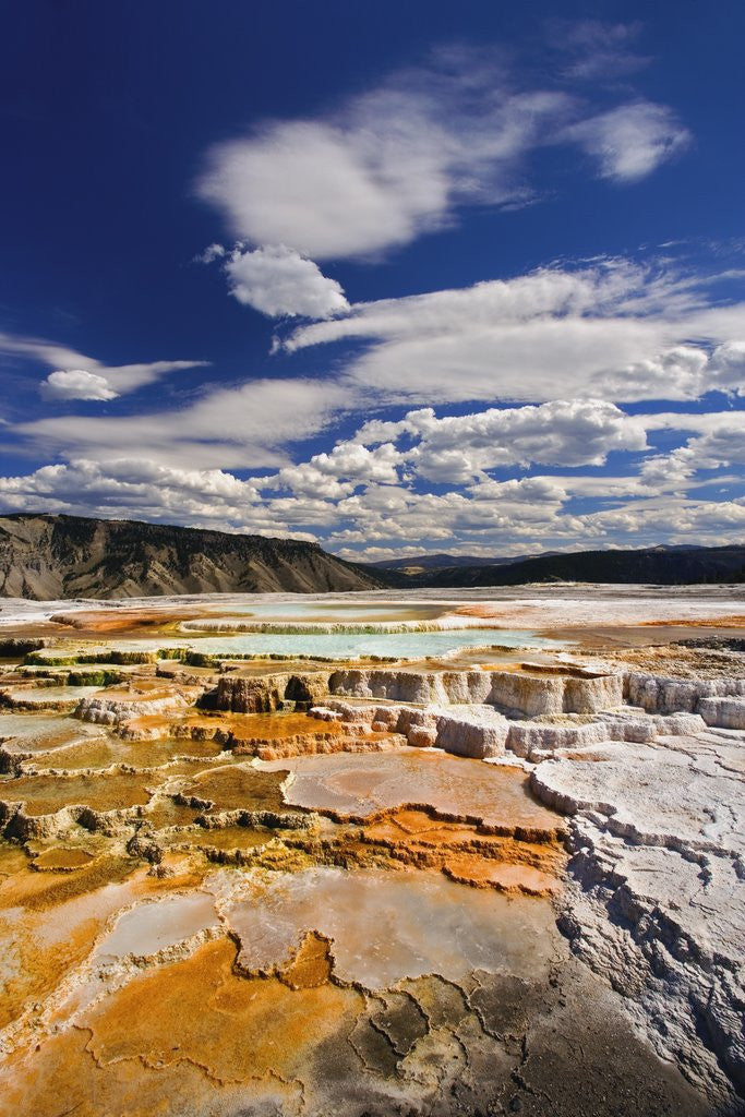 Detail of Colorful Terraces atop Mammoth Hot Springs by Anonymous