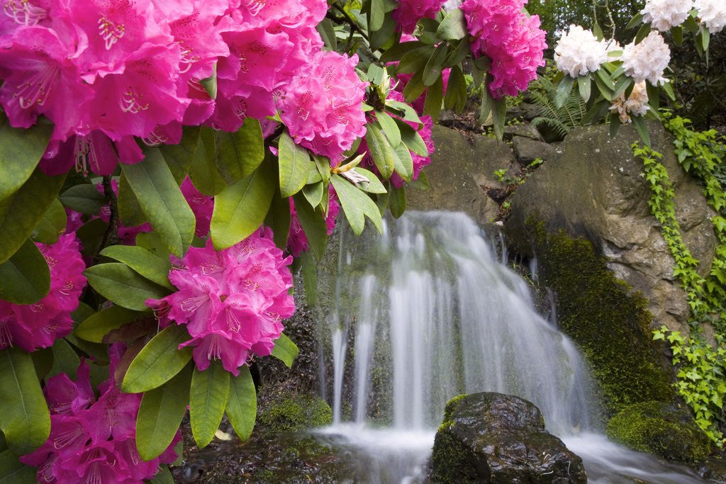 Detail of Waterfall by Anonymous