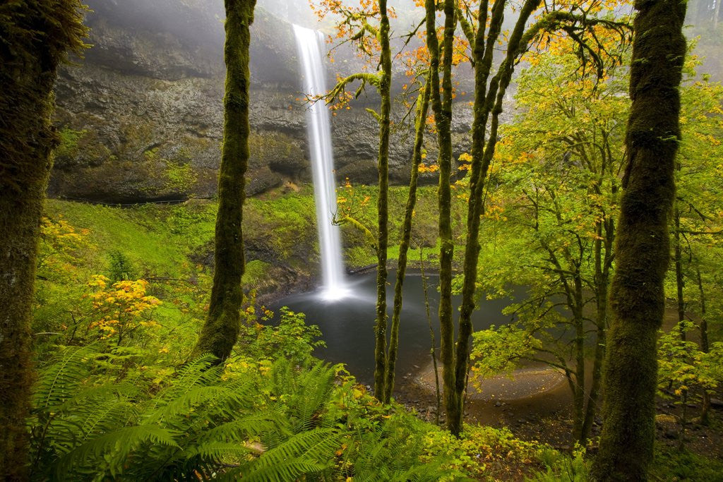 Detail of Waterfall by Anonymous