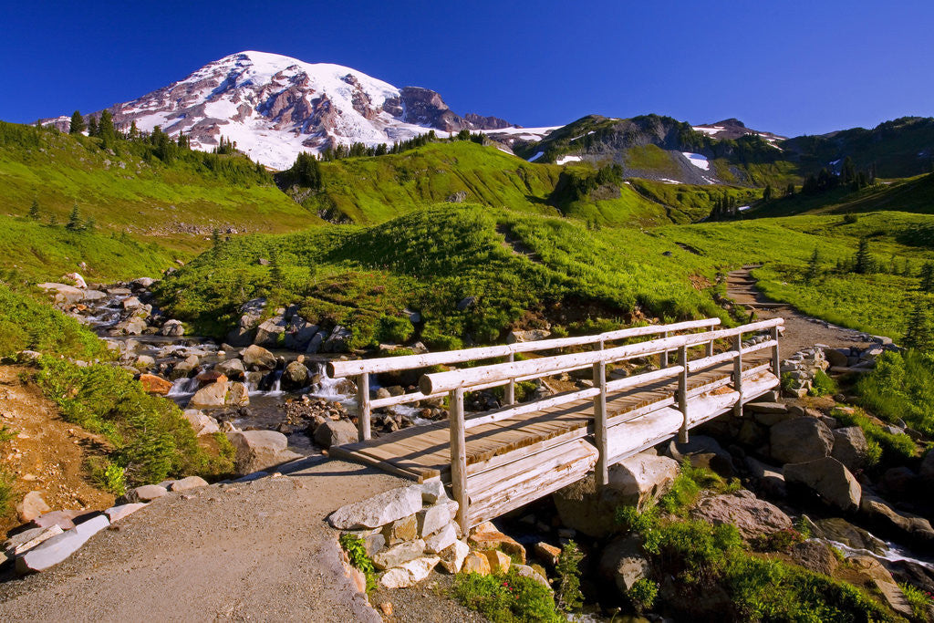 Detail of Mount Rainier and Footbridge by Anonymous
