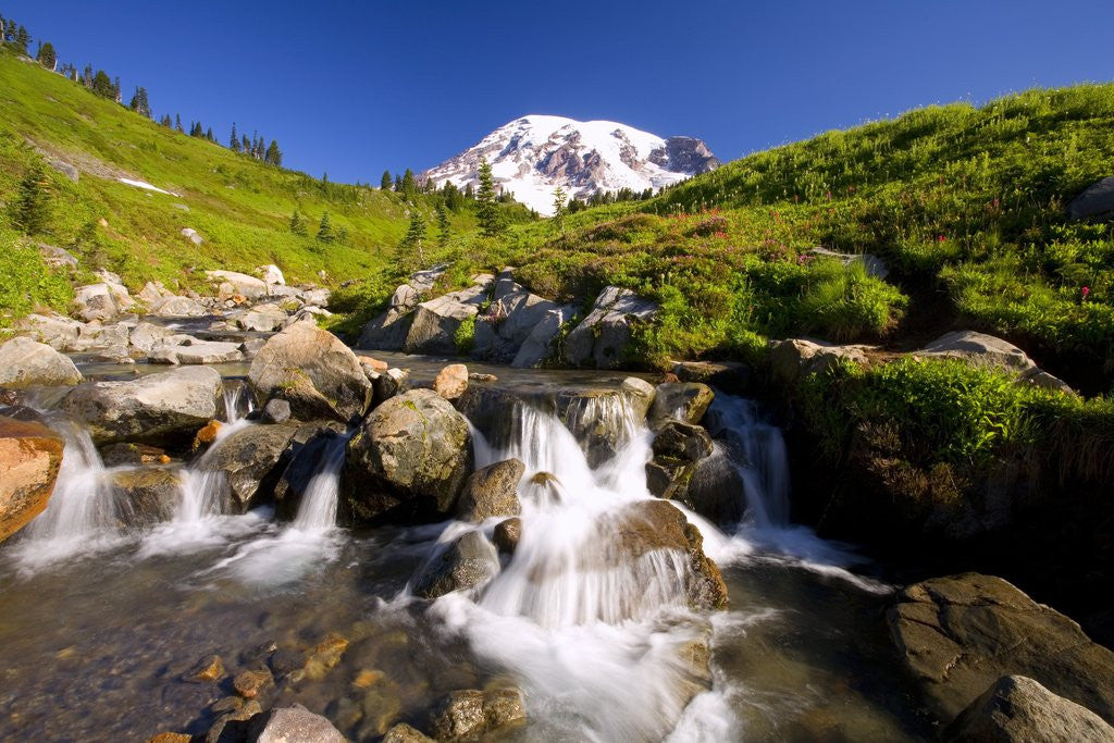 Detail of Waterfall and Mt. Rainier by Anonymous