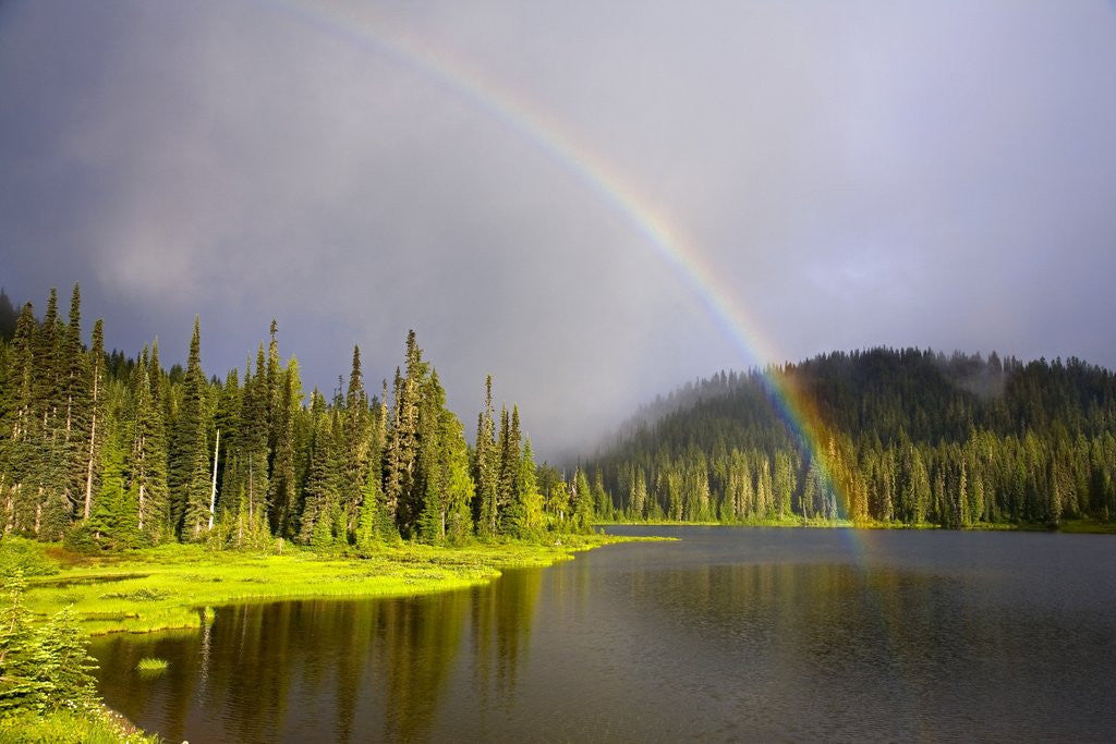 Detail of Rainbow Over Reflection Lakes in Mt. Rainier National Park by Anonymous