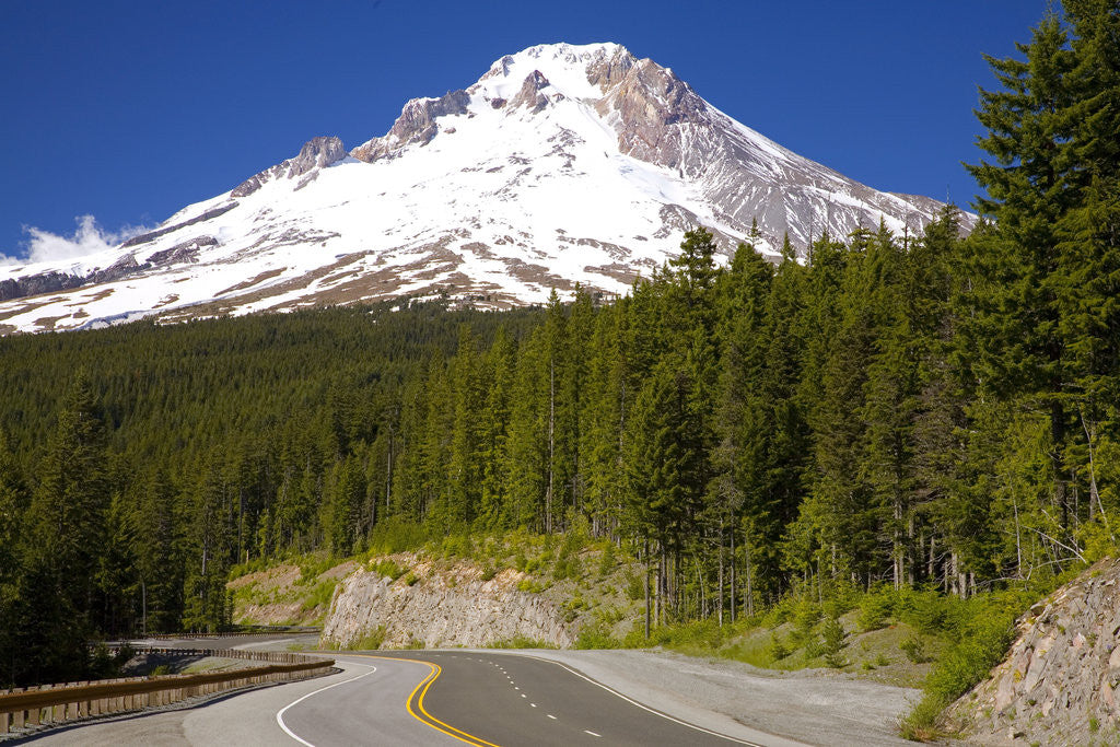 Detail of Mount Hood by Anonymous