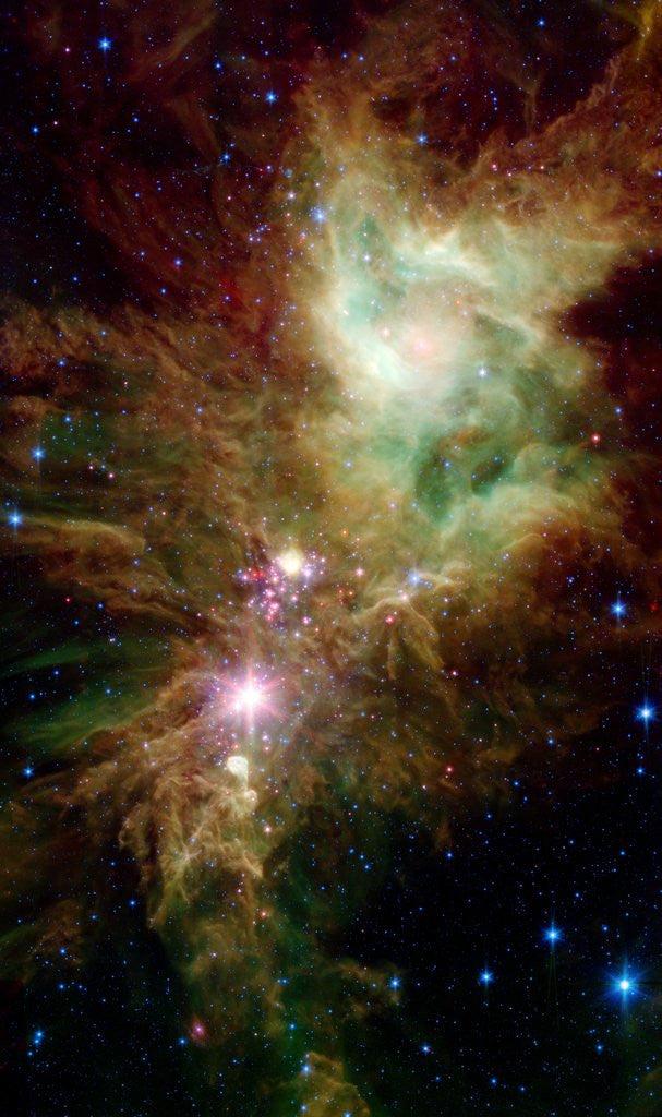 Detail of Section of the Christmas Tree Cluster by Anonymous