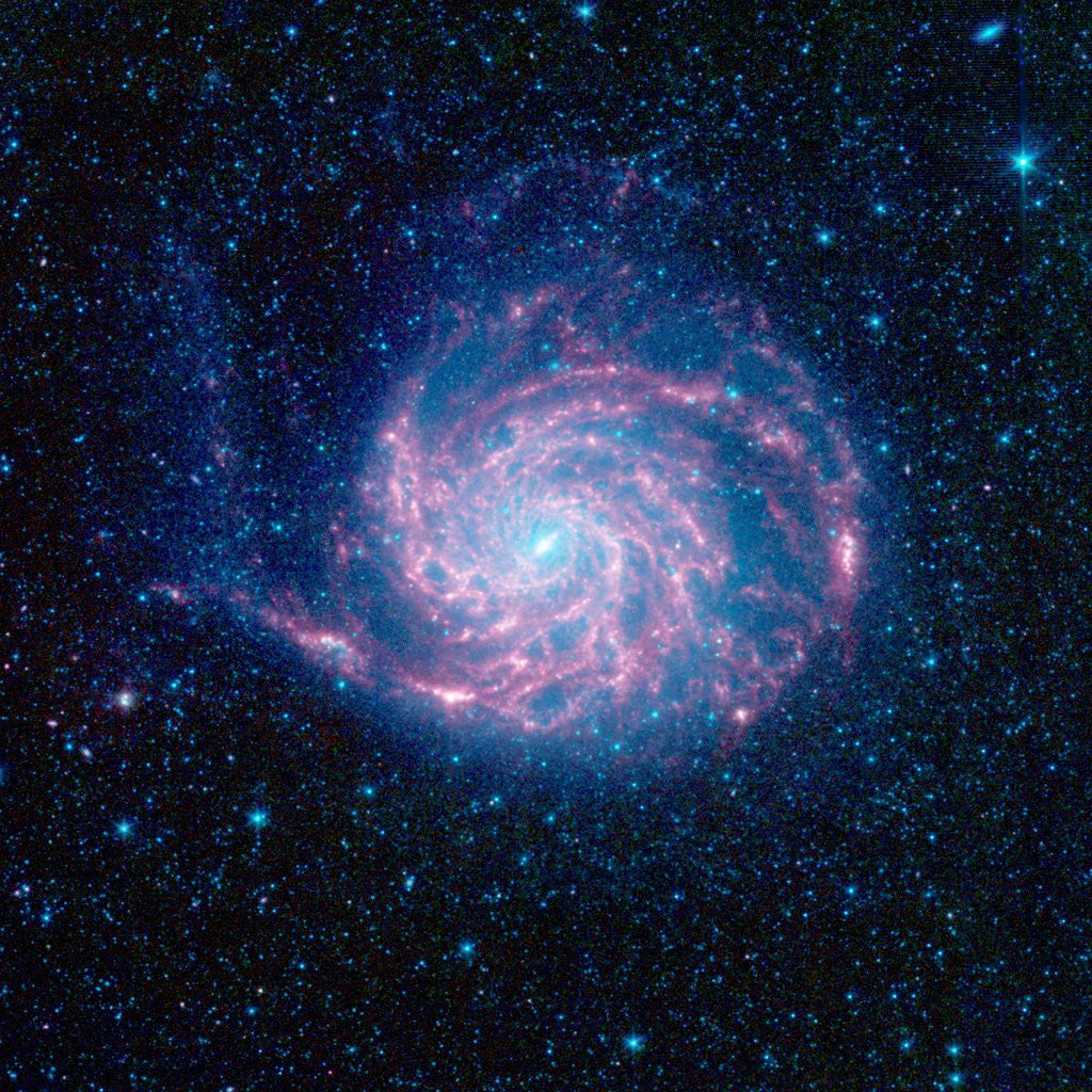 Detail of Pinwheel Galaxy by Anonymous