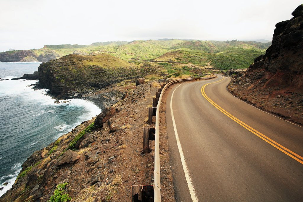 Detail of Coastal Road by Anonymous