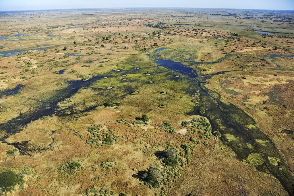 Detail of Islands and Waterways of the Okavango Delta by Anonymous