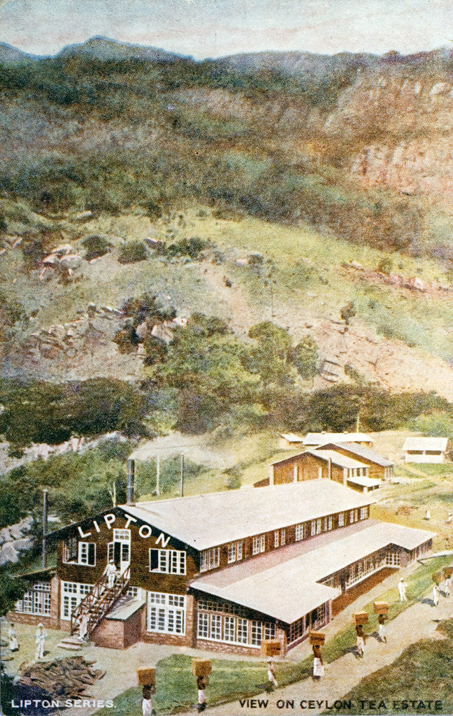 Detail of Lipton Tea Drying Building on Plantation in Sri Lanka by Anonymous